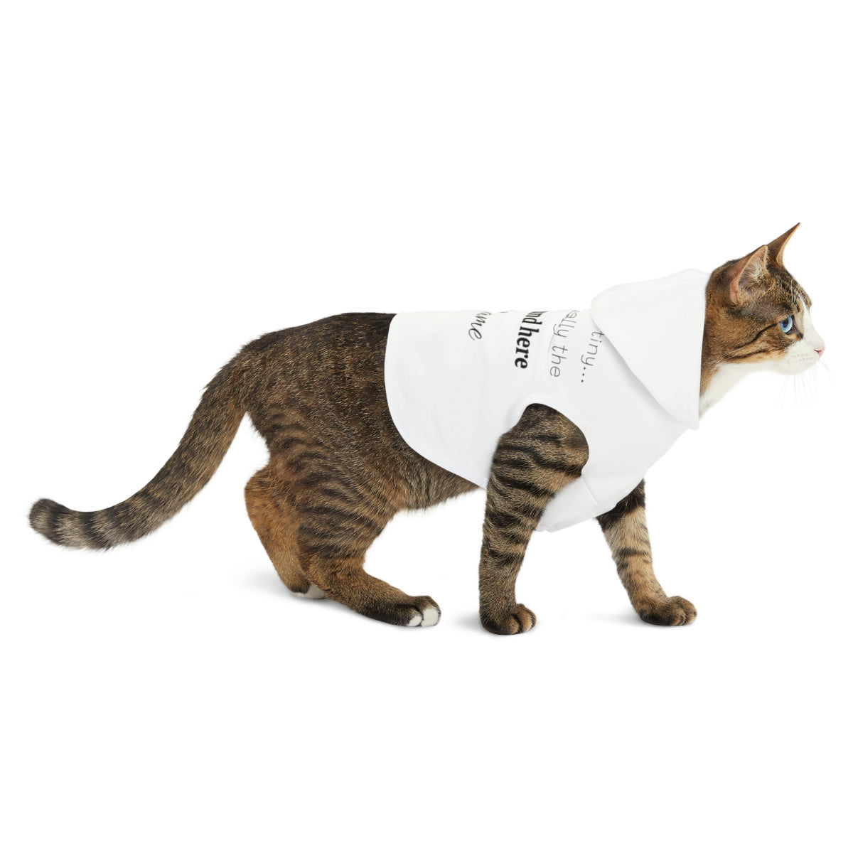Tiny Boss - Pet Hoodie