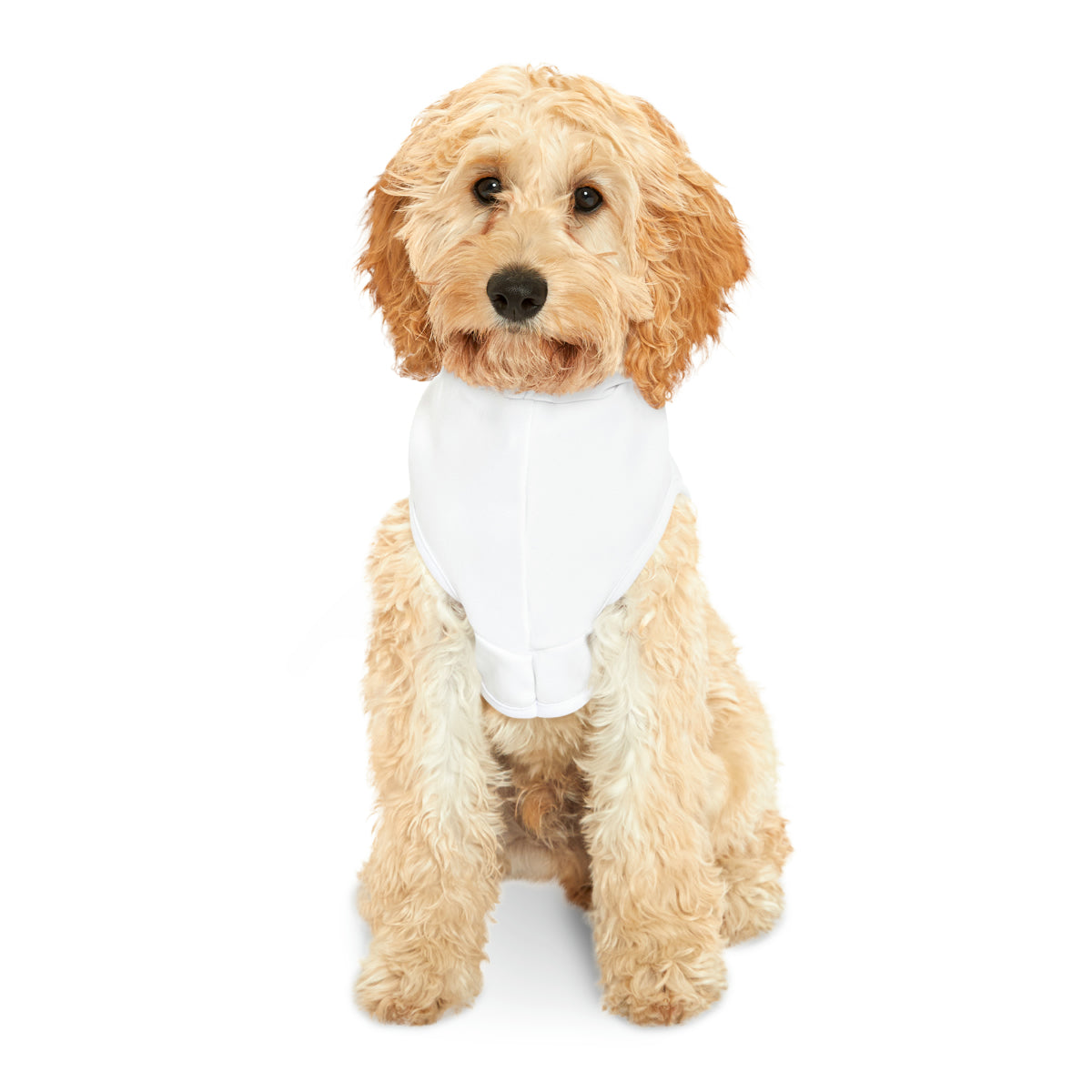 Tiny Boss - Pet Hoodie